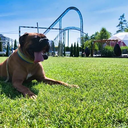 Holiday Park Zator Parco vacanze *