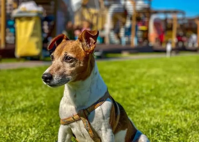 Holiday Park Zator Zator